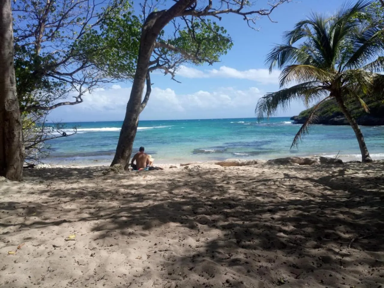 Beau Studio Lumineux Vue Mer Acces Plage Et Piscine Le Gosier