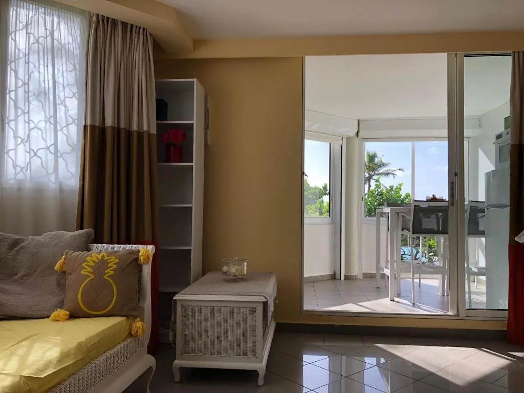 Apartment Beau Studio Lumineux Vue Mer Acces Plage Et Piscine Le Gosier